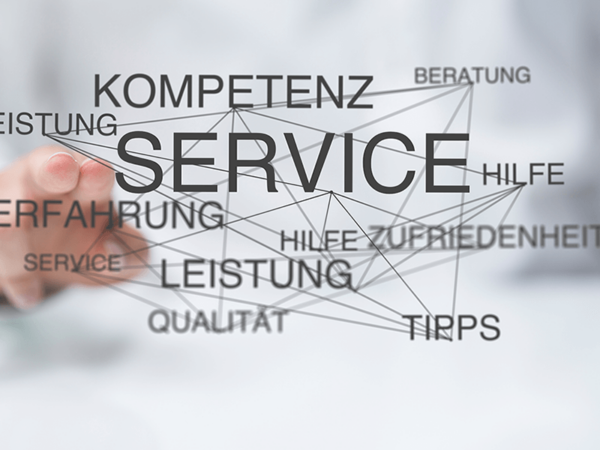Service, u.a. Technischer Support für LMs Systeme und WordPress Systeme